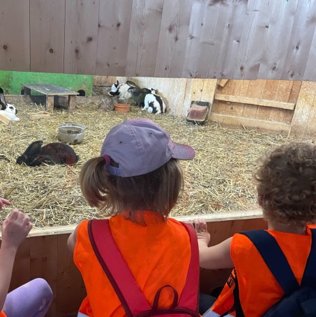 Kinder beobachten Kaninchen in einem Stall.