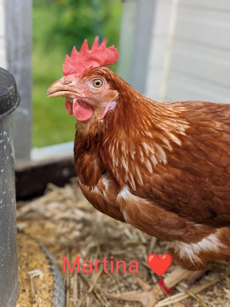 Huhn Martina.
