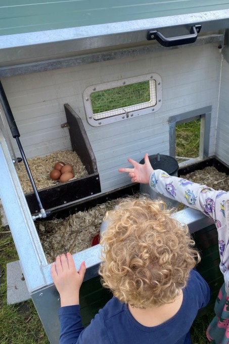 Im Hühnerstall liegen vier braune Eier. Kinder gucken in den Stall.