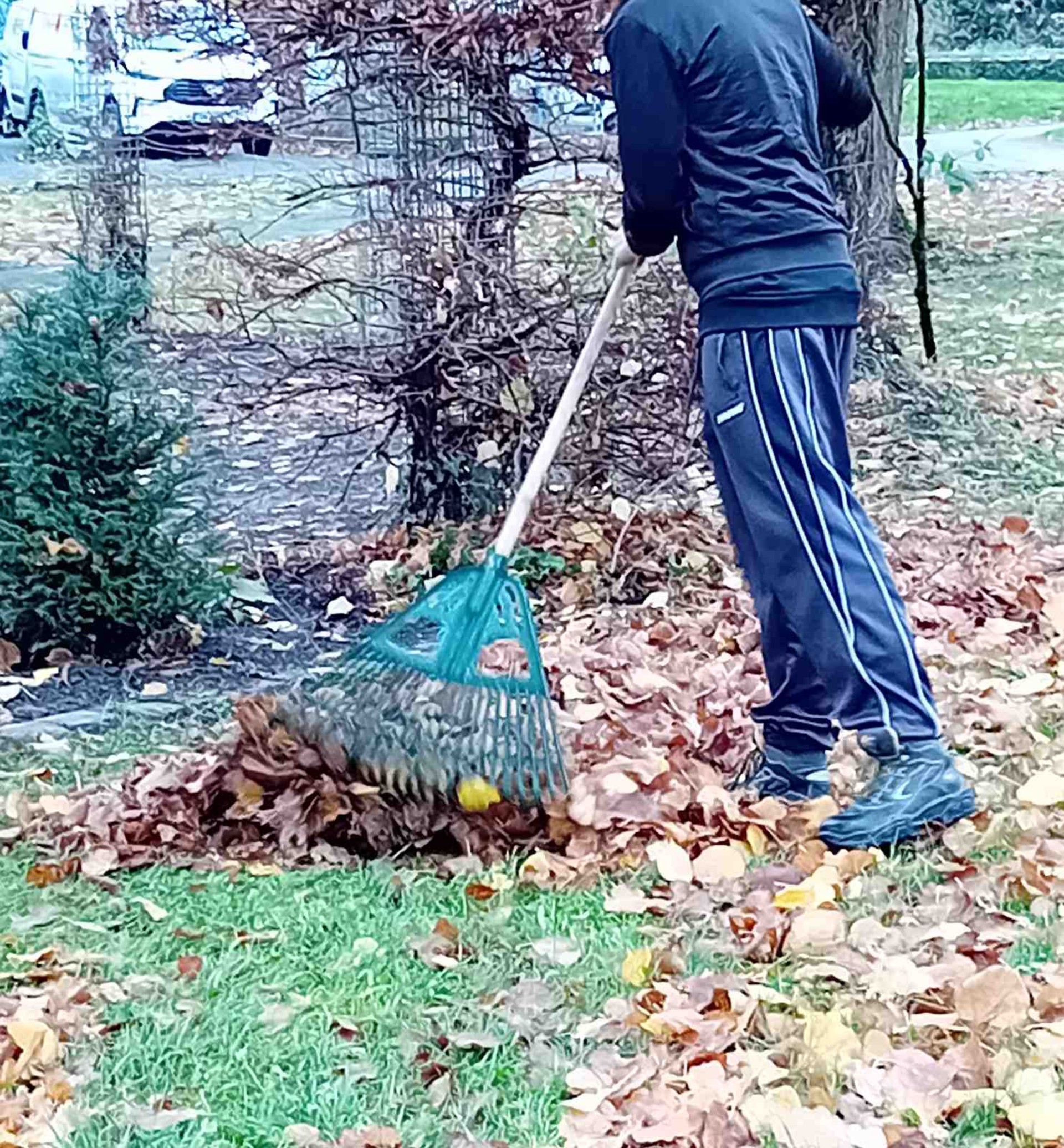 Im Garten- und Landschaftsbau
