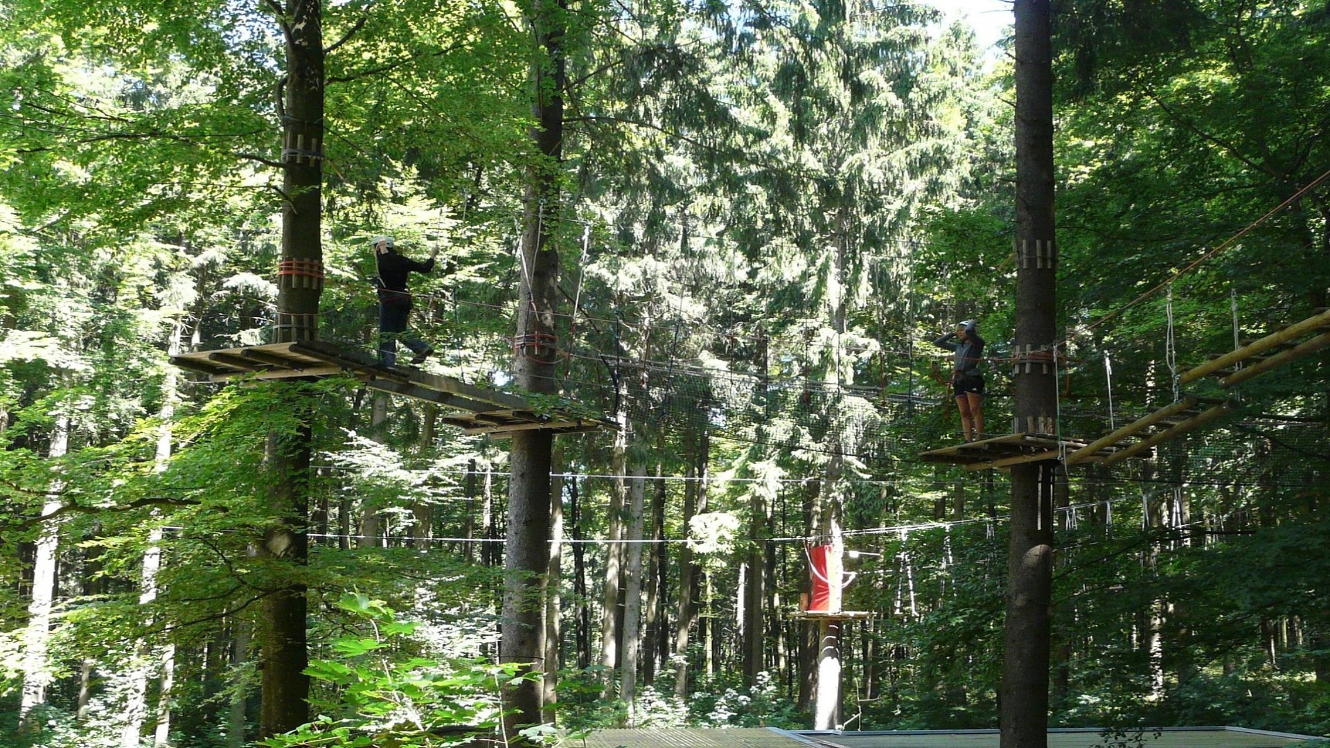 Bild eines Kletterparcours in einem Hochseilgarten.