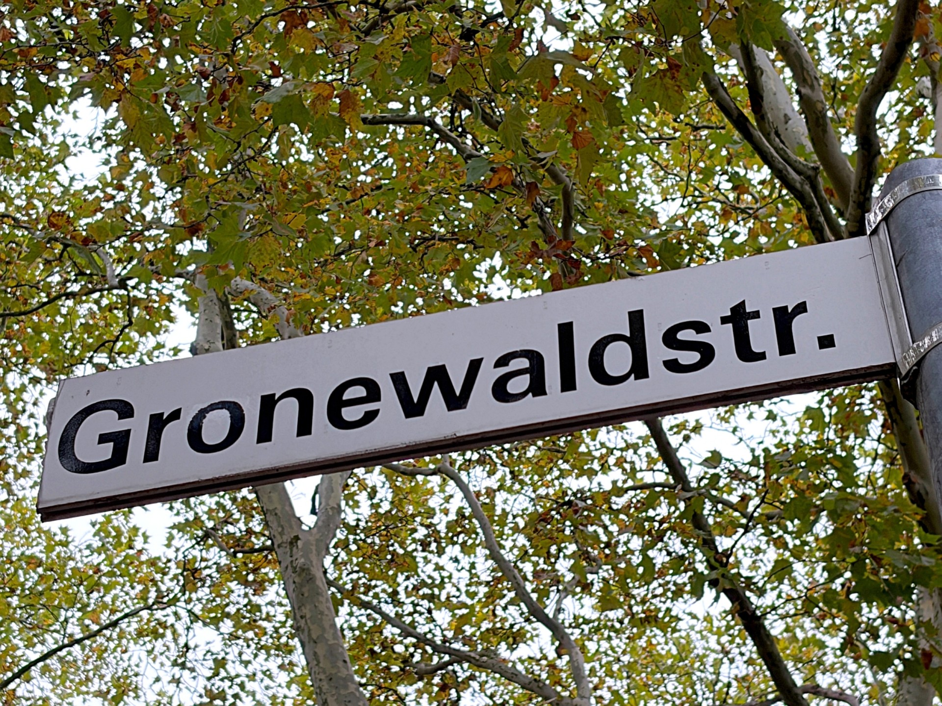 Straßenschild "Gronewaldstraße", im Hintergrund Birken