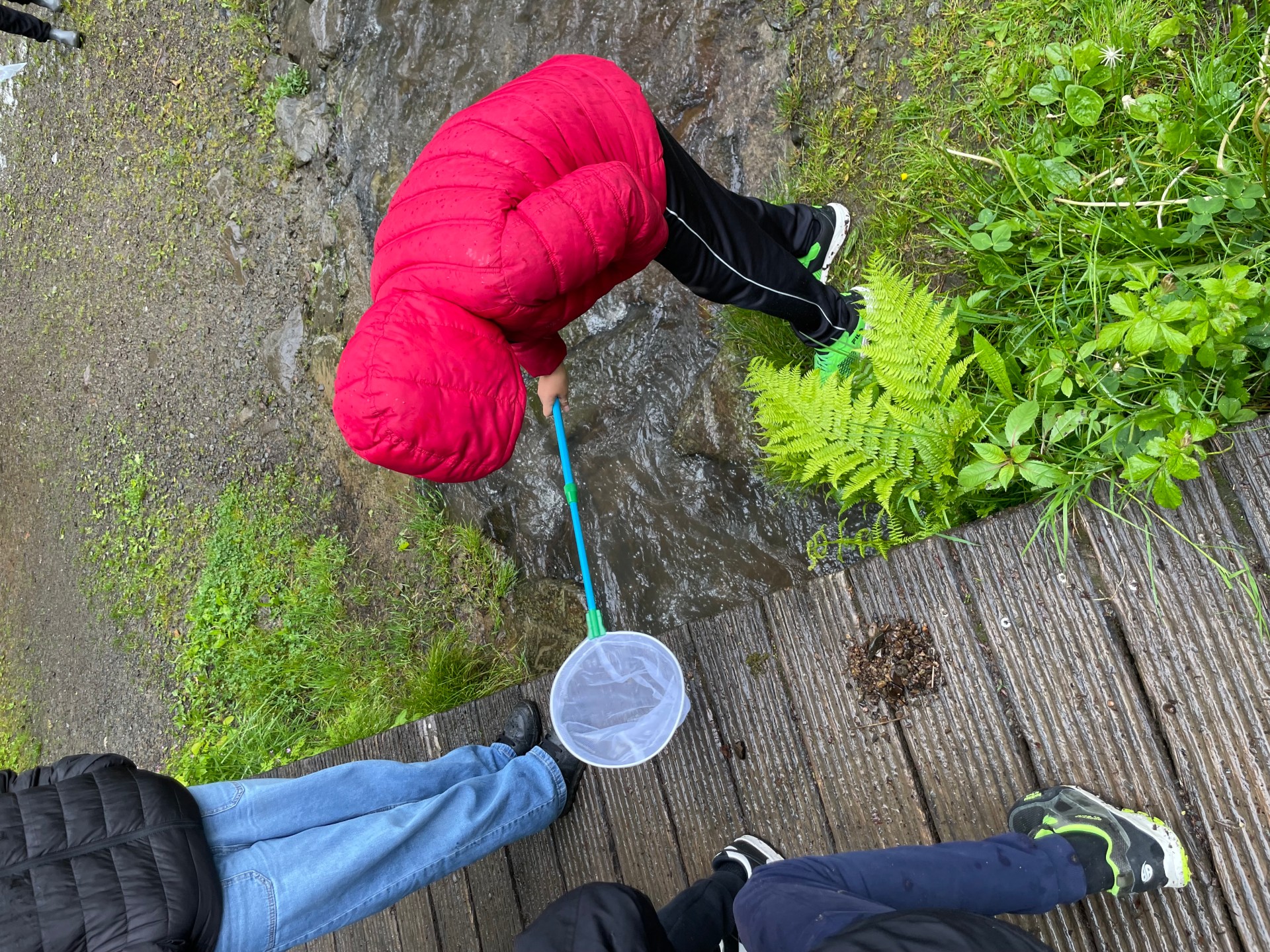 Auf der Suche nach Ästen.