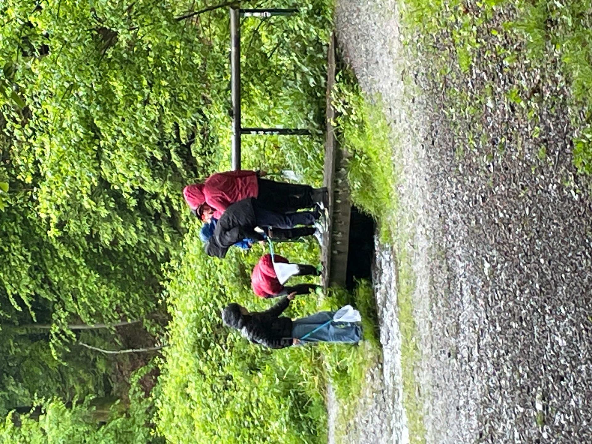 Auf der Suche nach Ästen.