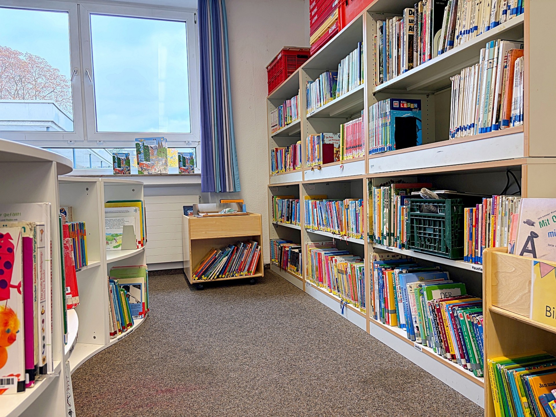 Blick in die Schulbücherei: rechts und links Regal voller bunter Bücher.
