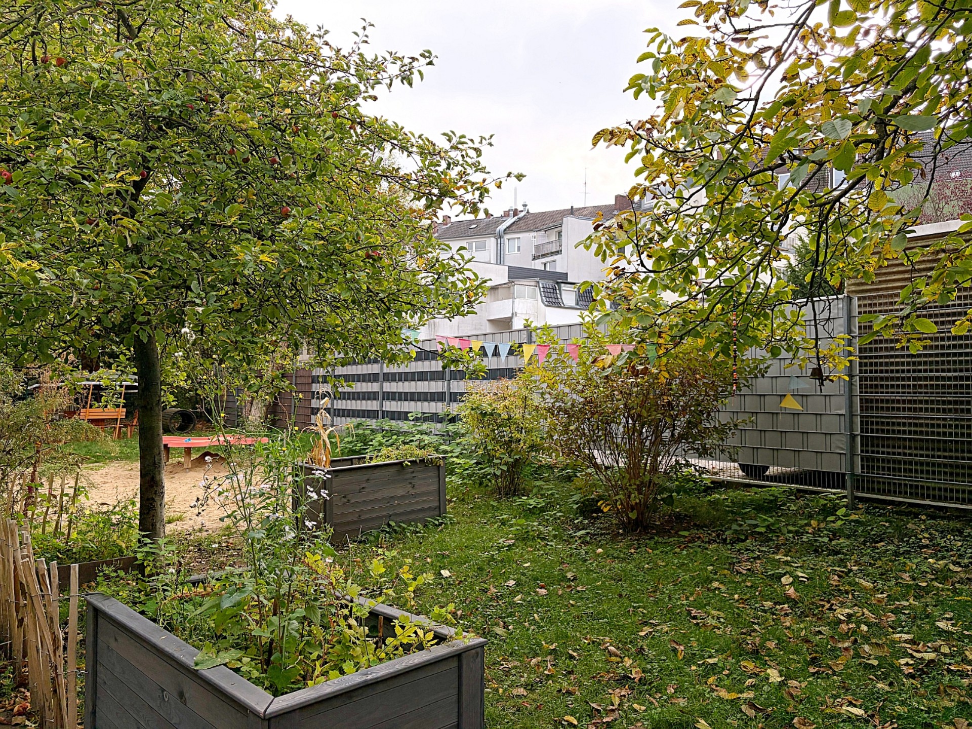 Blick in den Schulgarten mit Bäumen und Hochbeet