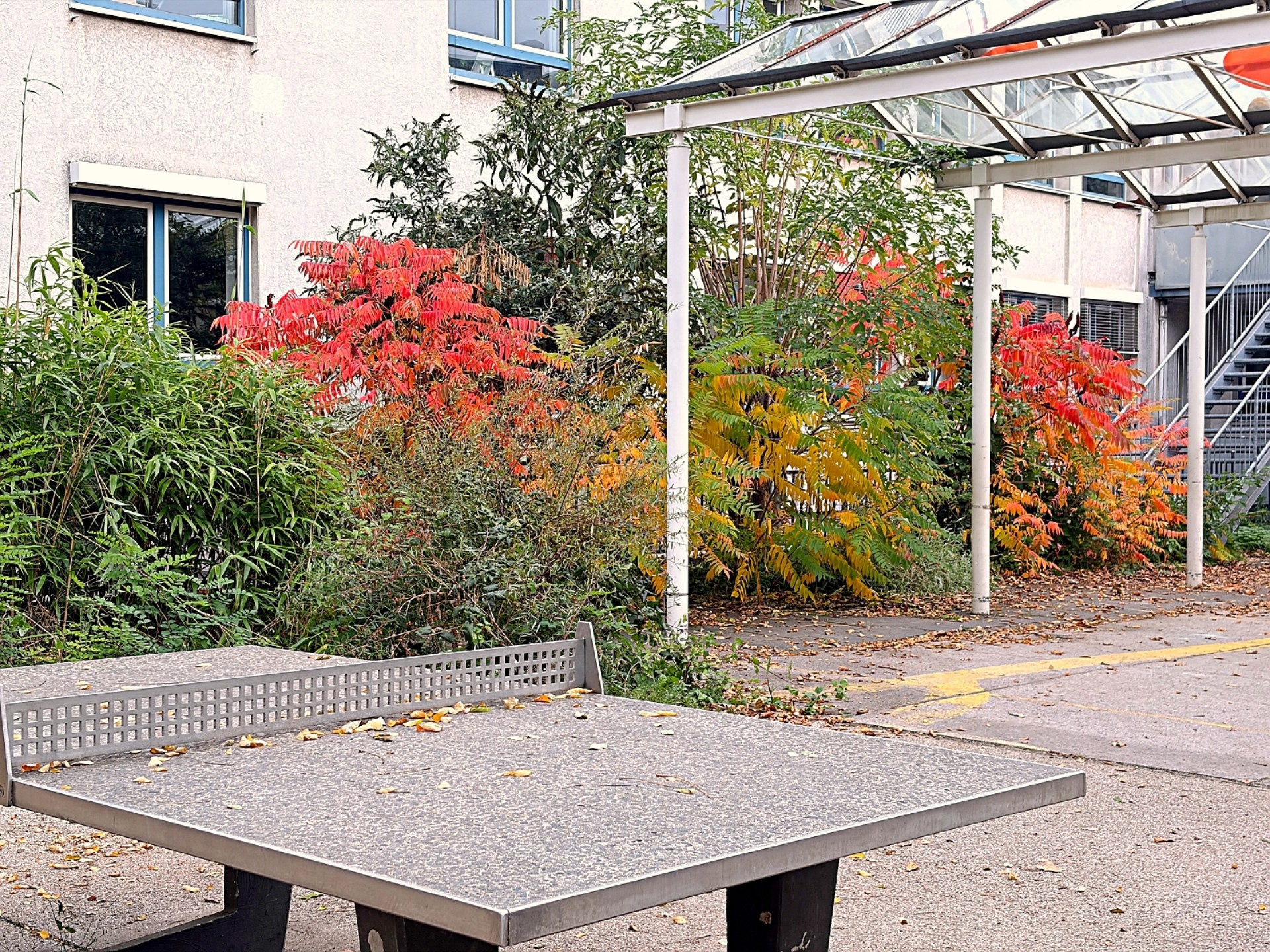 Eine Tischtennisplatte auf dem Schulhof