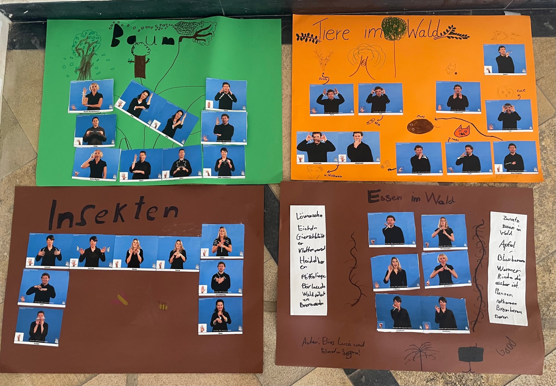 Vier Plakate auf denen Menschen zu sehen sind die Gebärden zu Begriffen aus der Natur zeigen: Bäume, Tiere im Wals, Insekten und Essen im Wald.
